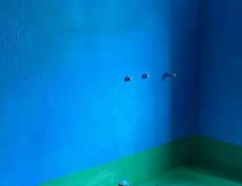 杨浦卫生间测漏水多少钱